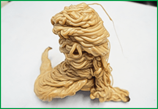 ダンゴ（通称）